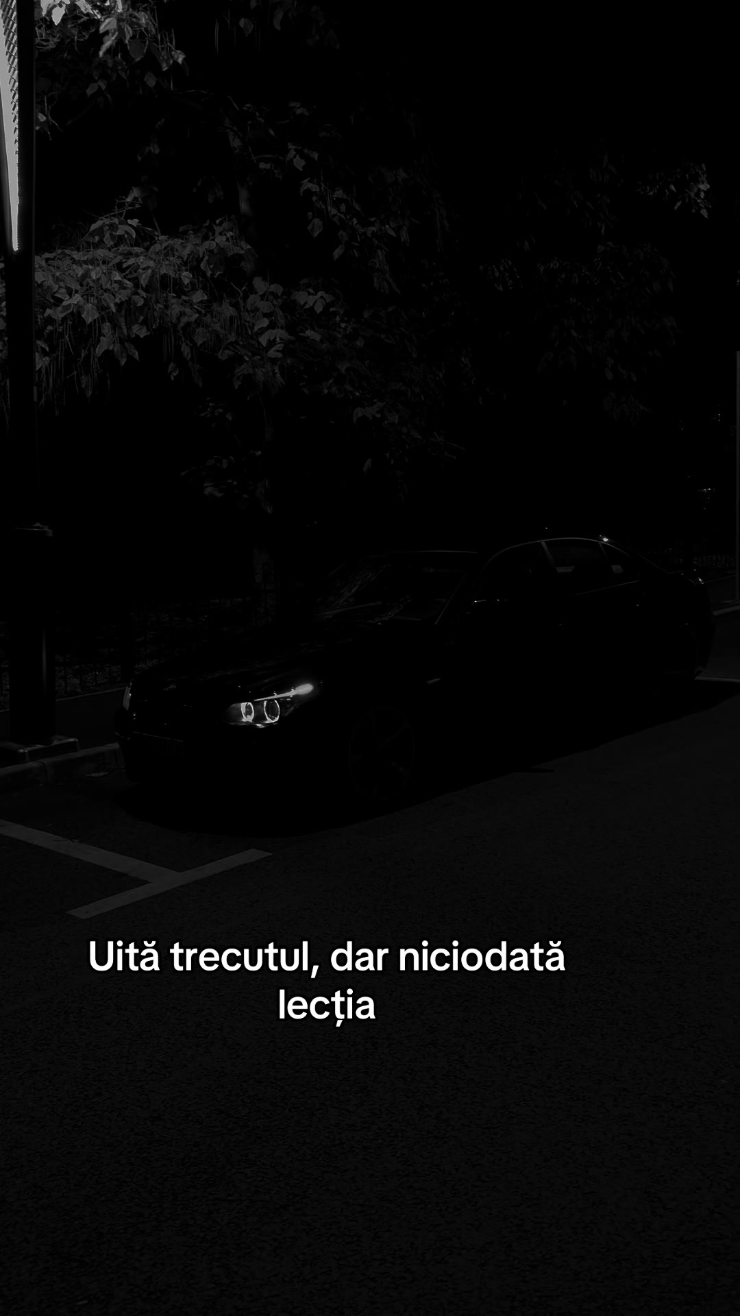 @55HAV