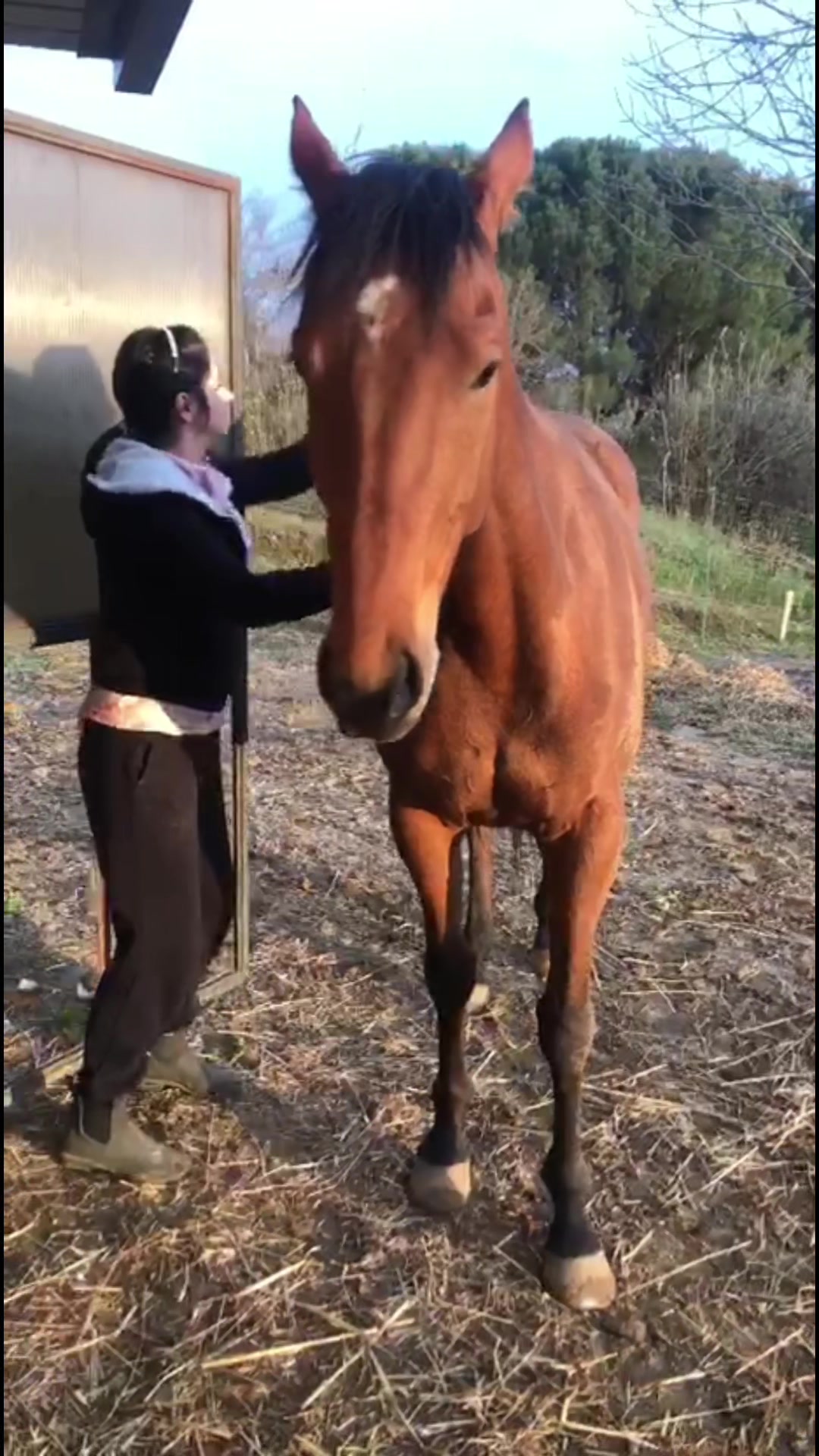 @Elisa Pilotta