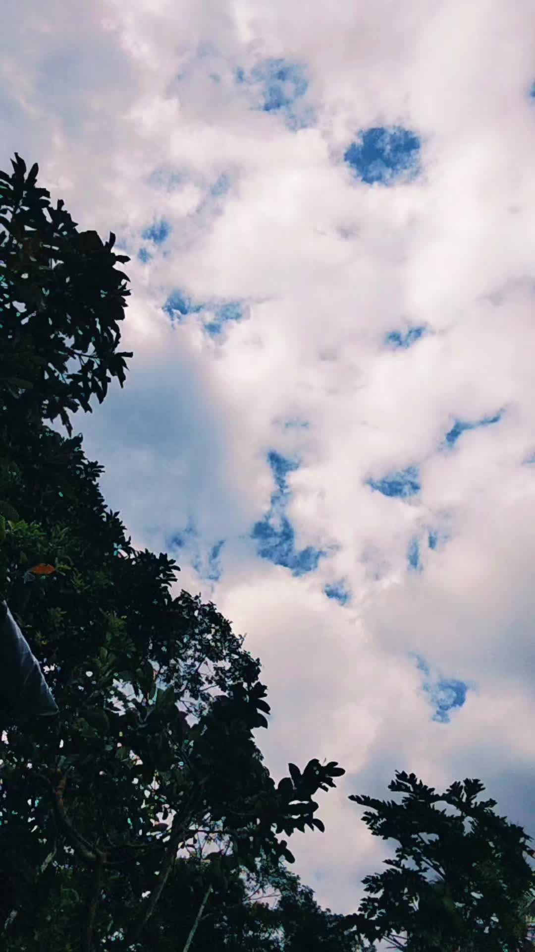 @zhanti