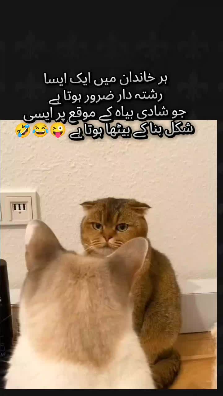 @Mis Chaudhary