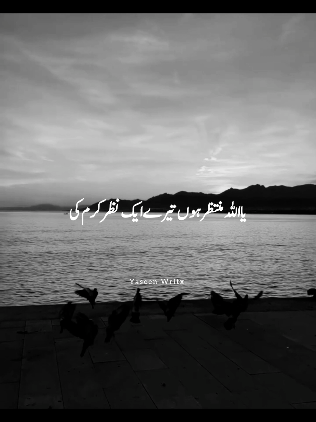 @yaseenwritx