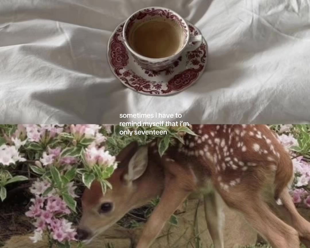 @ℒ