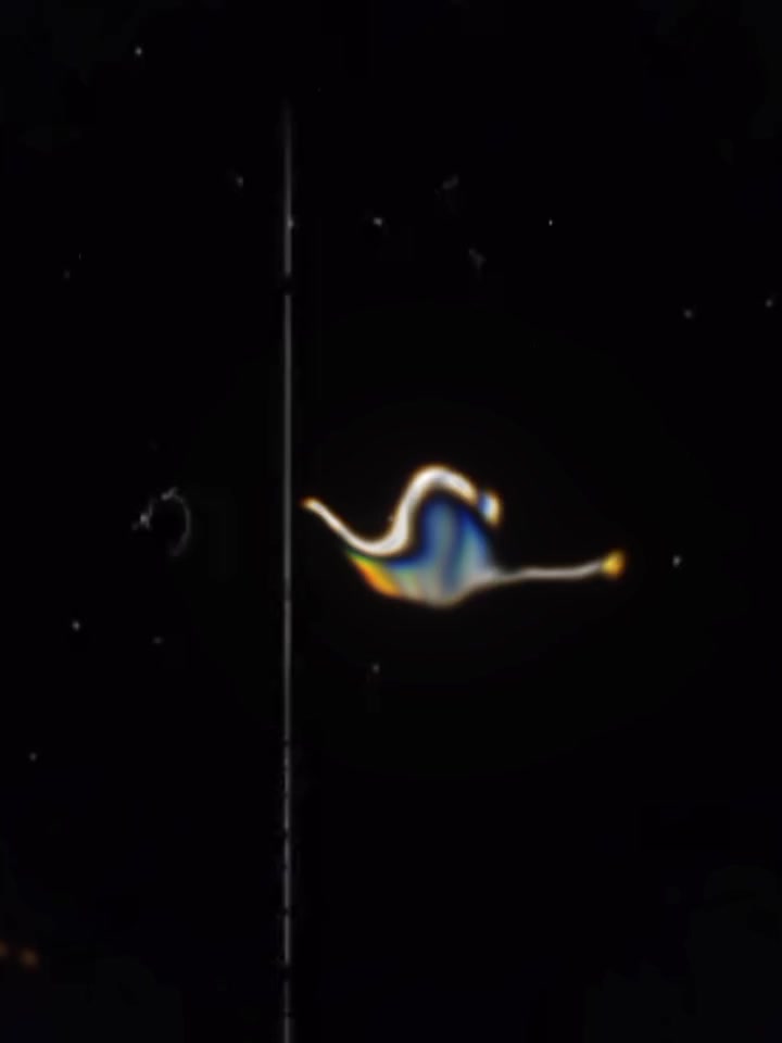 @💫𝕚𝕥’𝕤_𝕞𝕖_𝕊𝕒𝕝𝕞𝕒𝕟💫