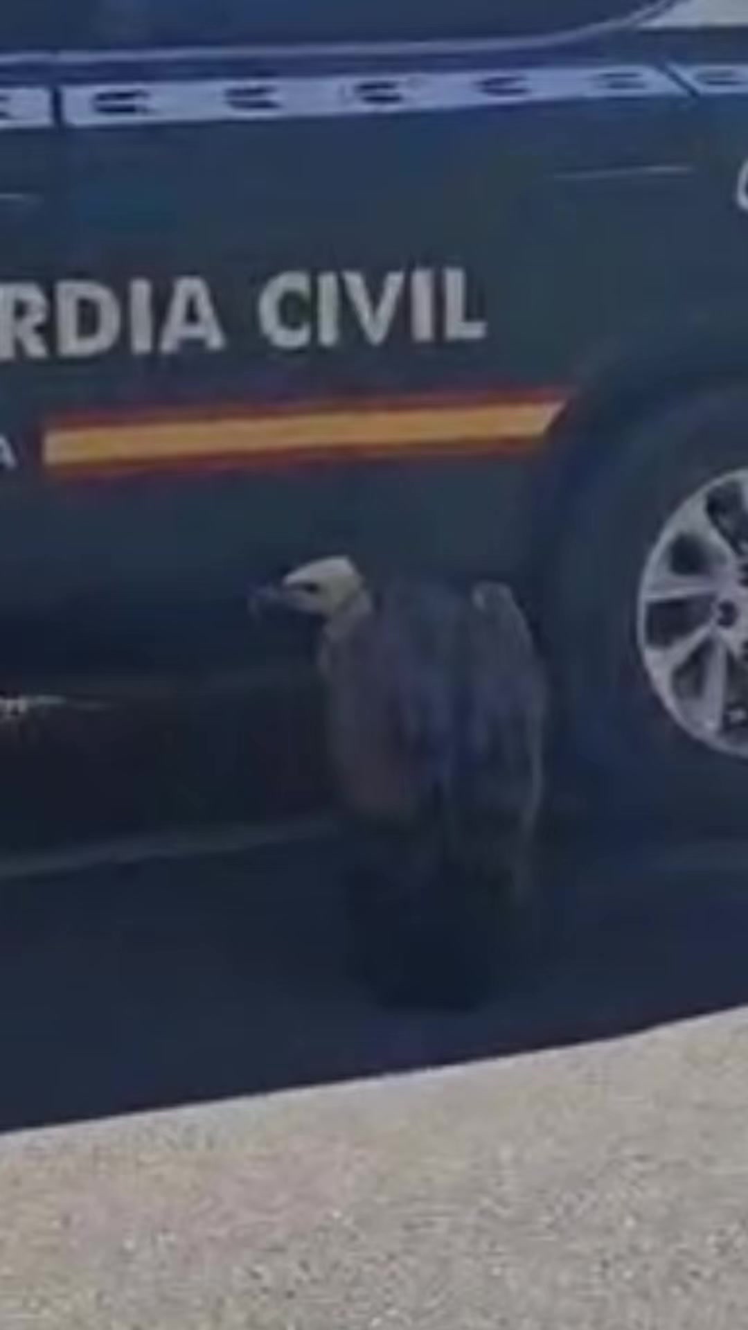 @Guardia Civil Navarra
