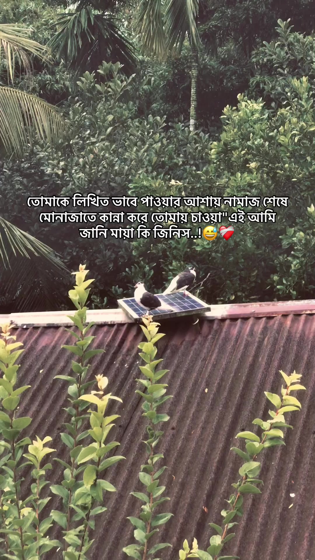 @the_spydoo🕸️ 🥏