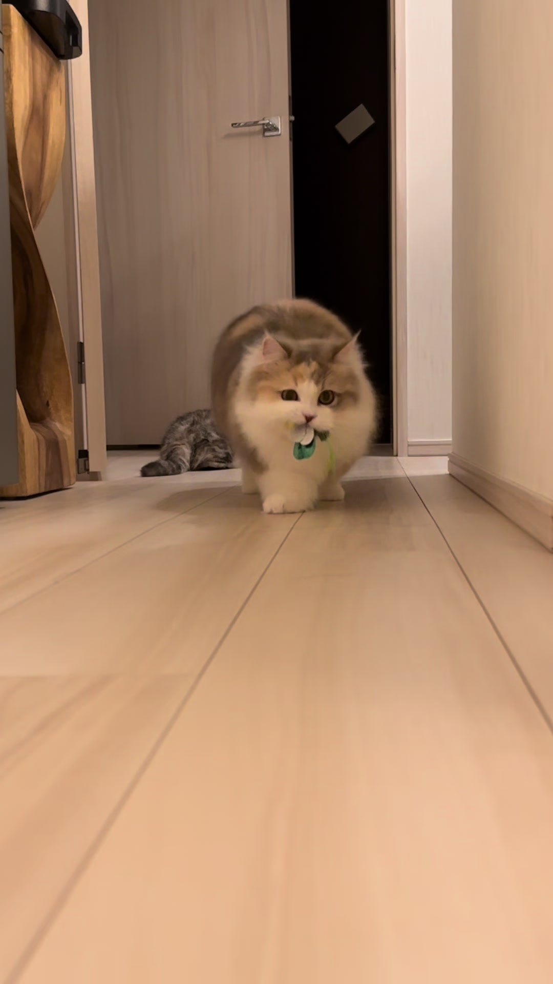 @ややとゆゆ