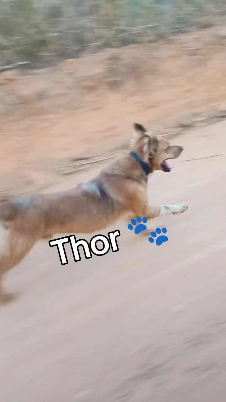 @Sueli Rover643