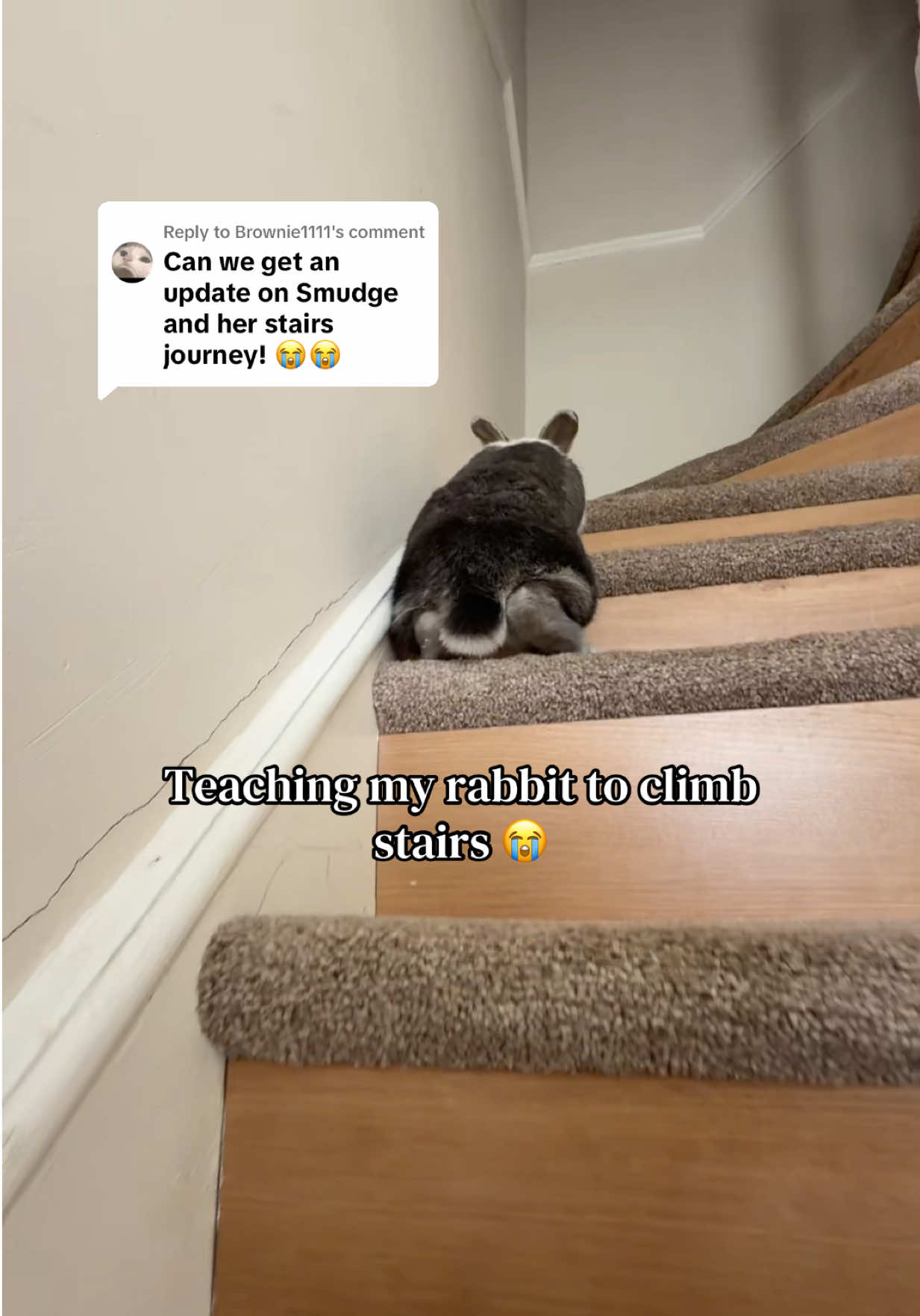 @mrphirii