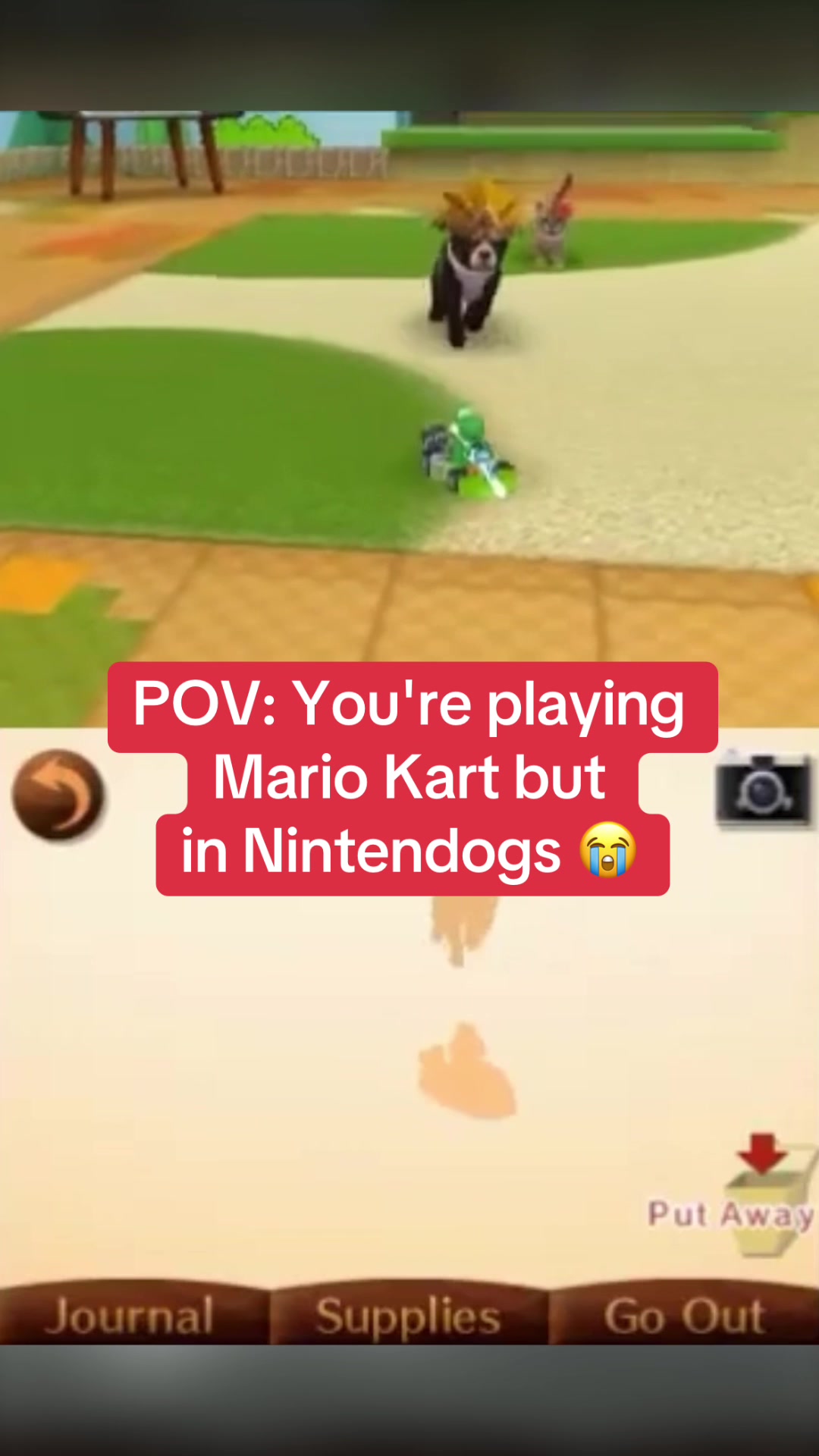 @MarioVerse