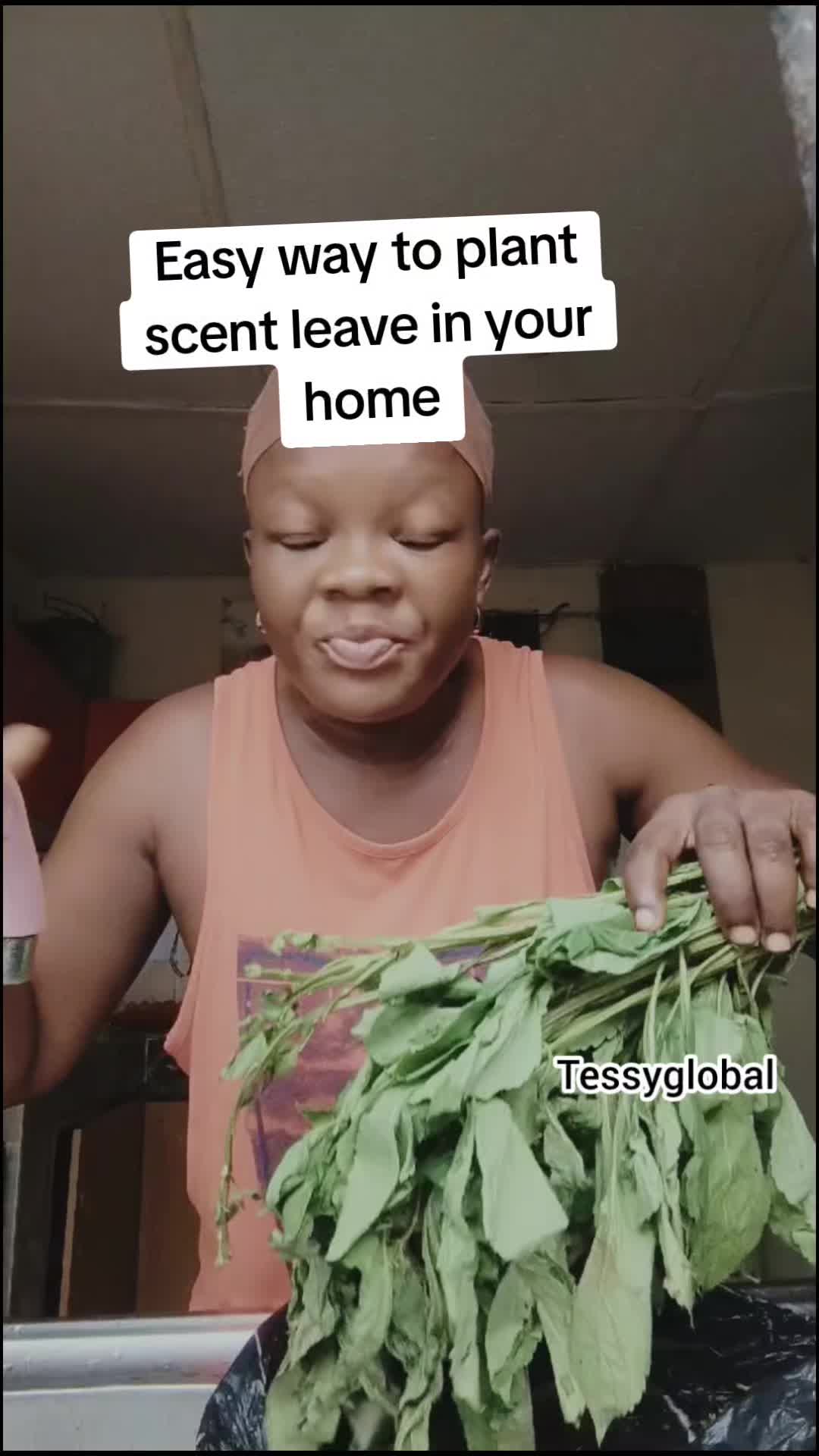 @Tessyglobal (oby)