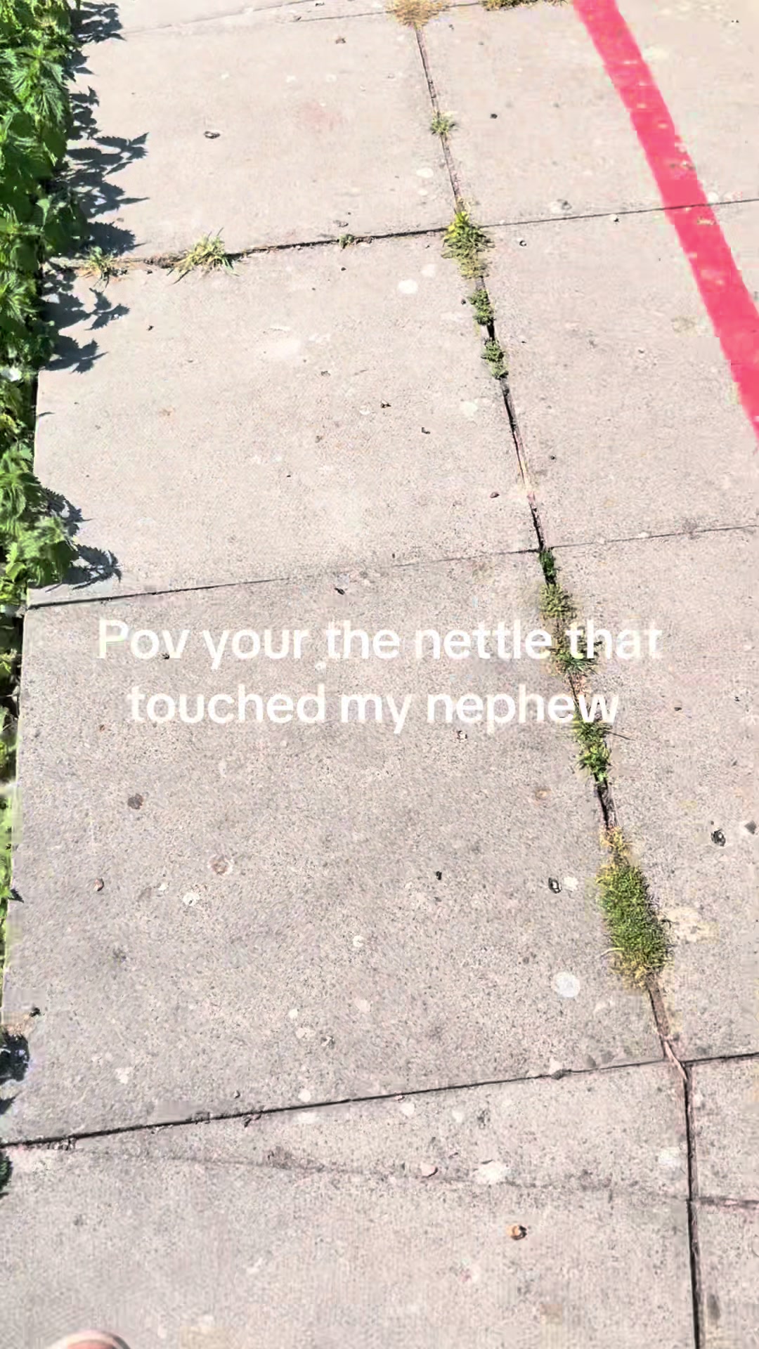 @Soph.webb2000