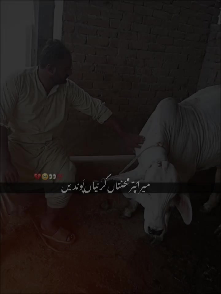 @Dr Mohammad Raza Kachala