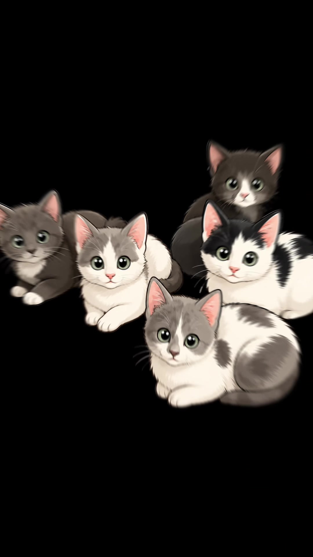 @Kittys