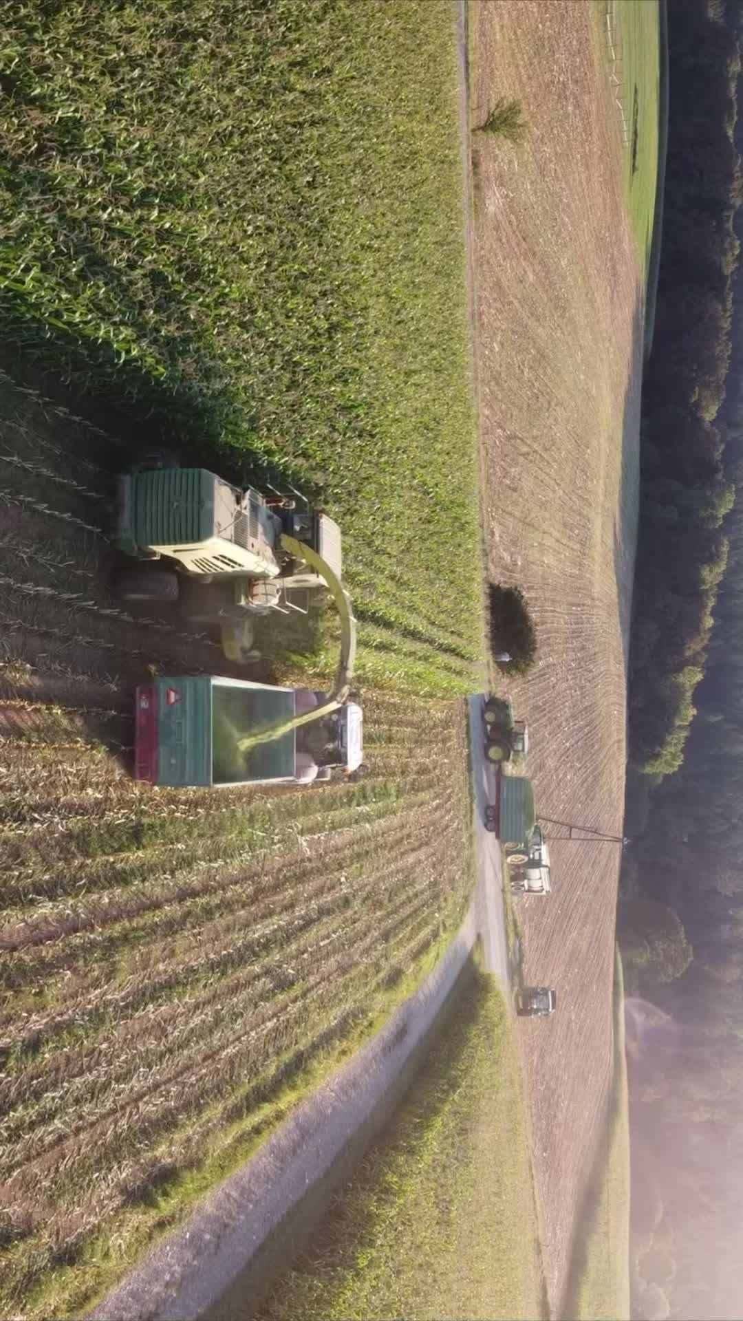 @Farming