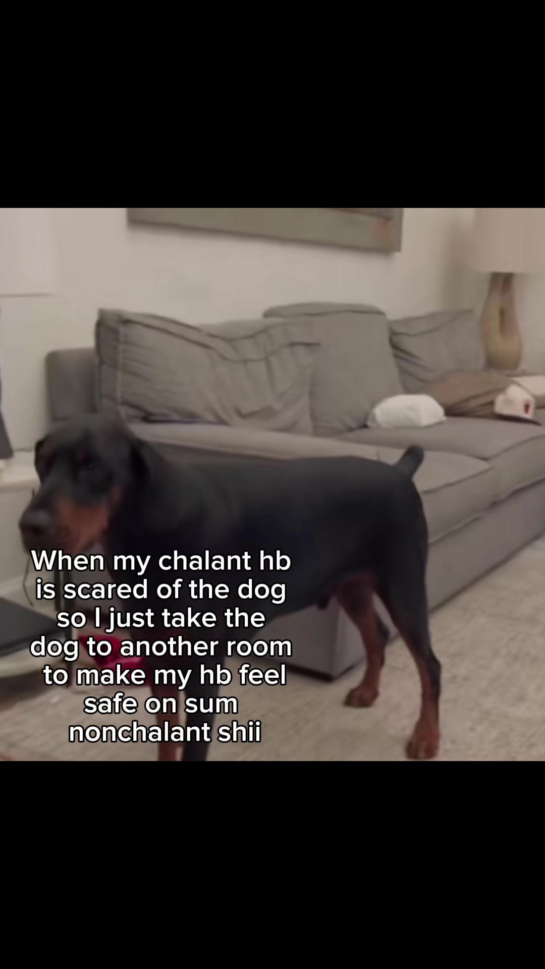 @lebronsleftcheek