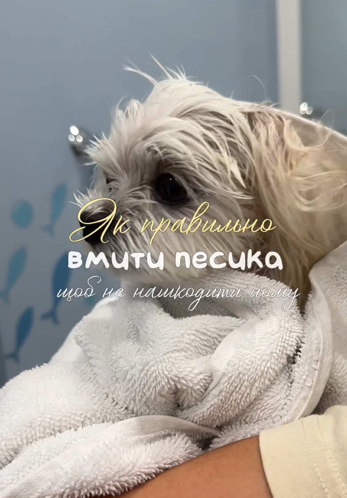 @I'm Eti 🐶🇺🇦