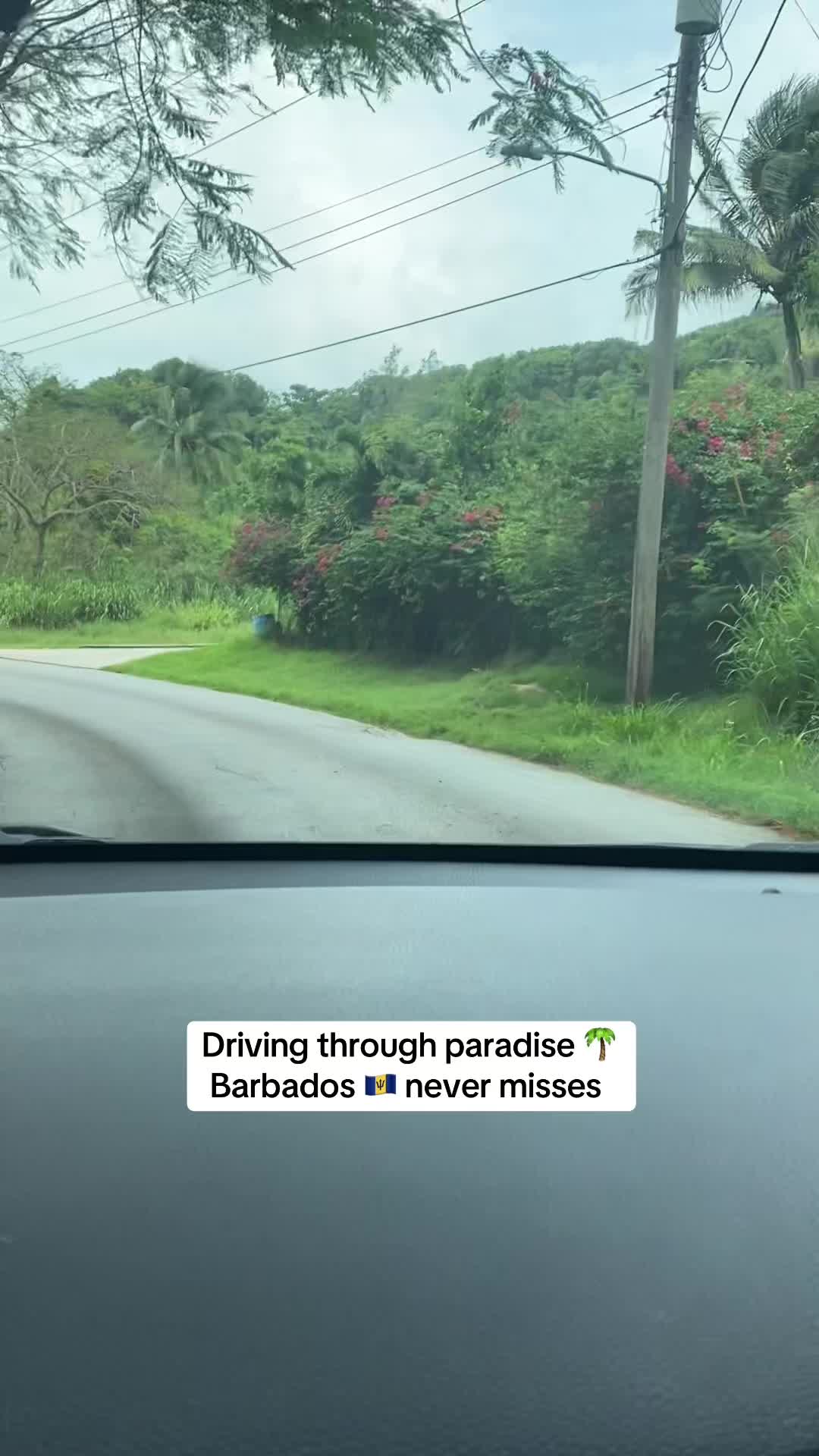 @zed_venture