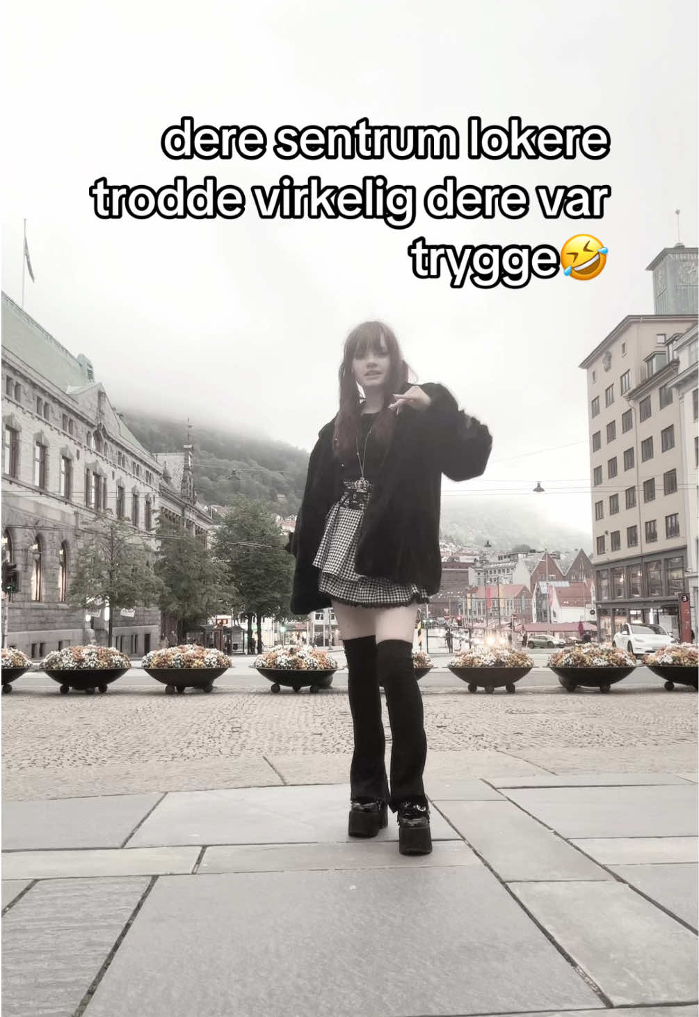 @vivz★彡
