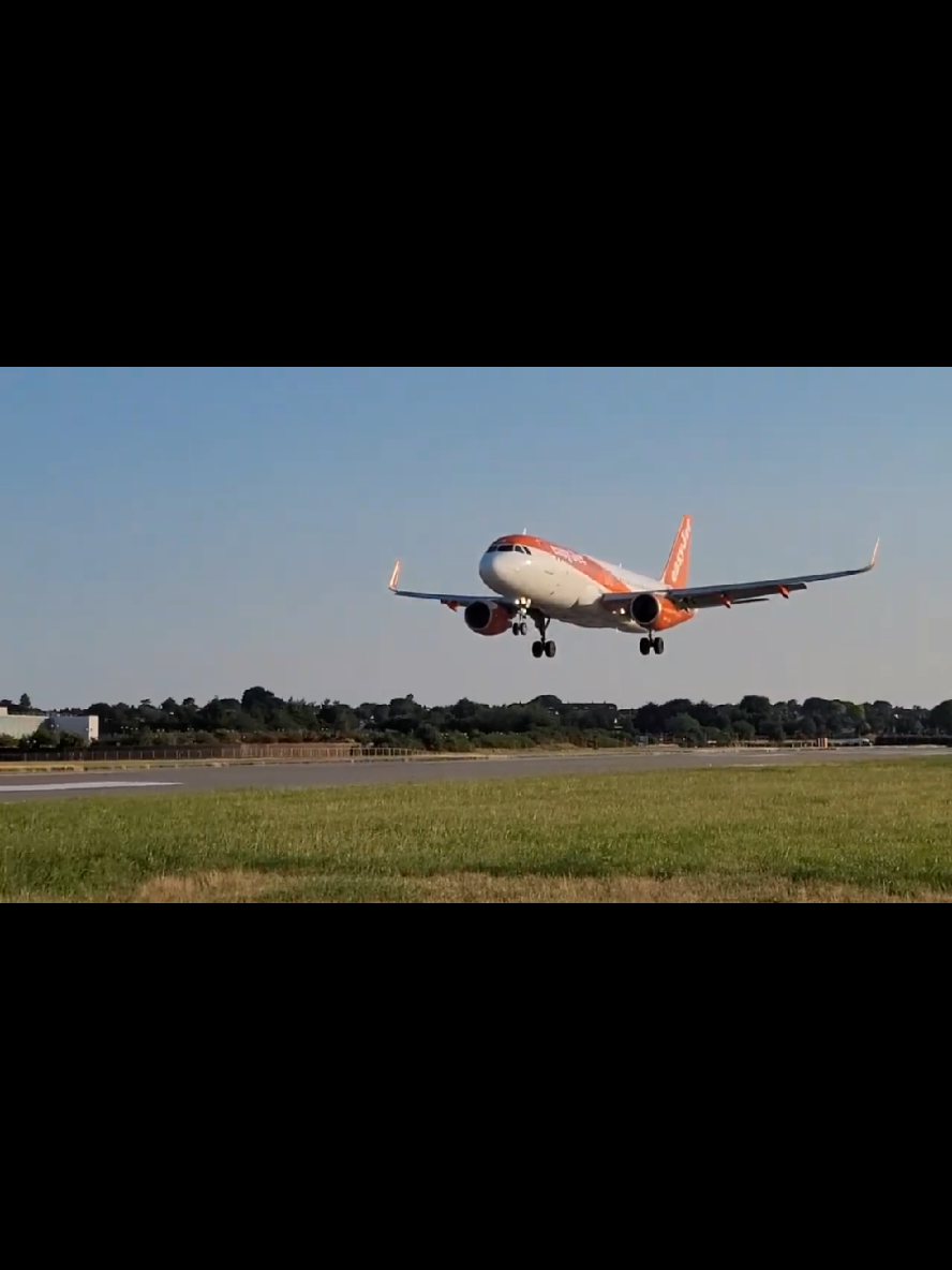 @MadMaddenAviation