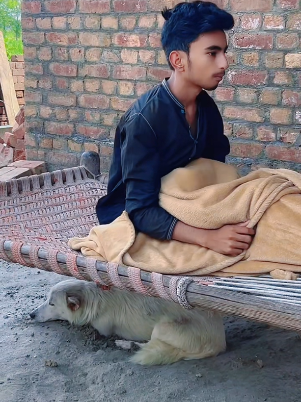 @Mr.ChoTu_Official🔥