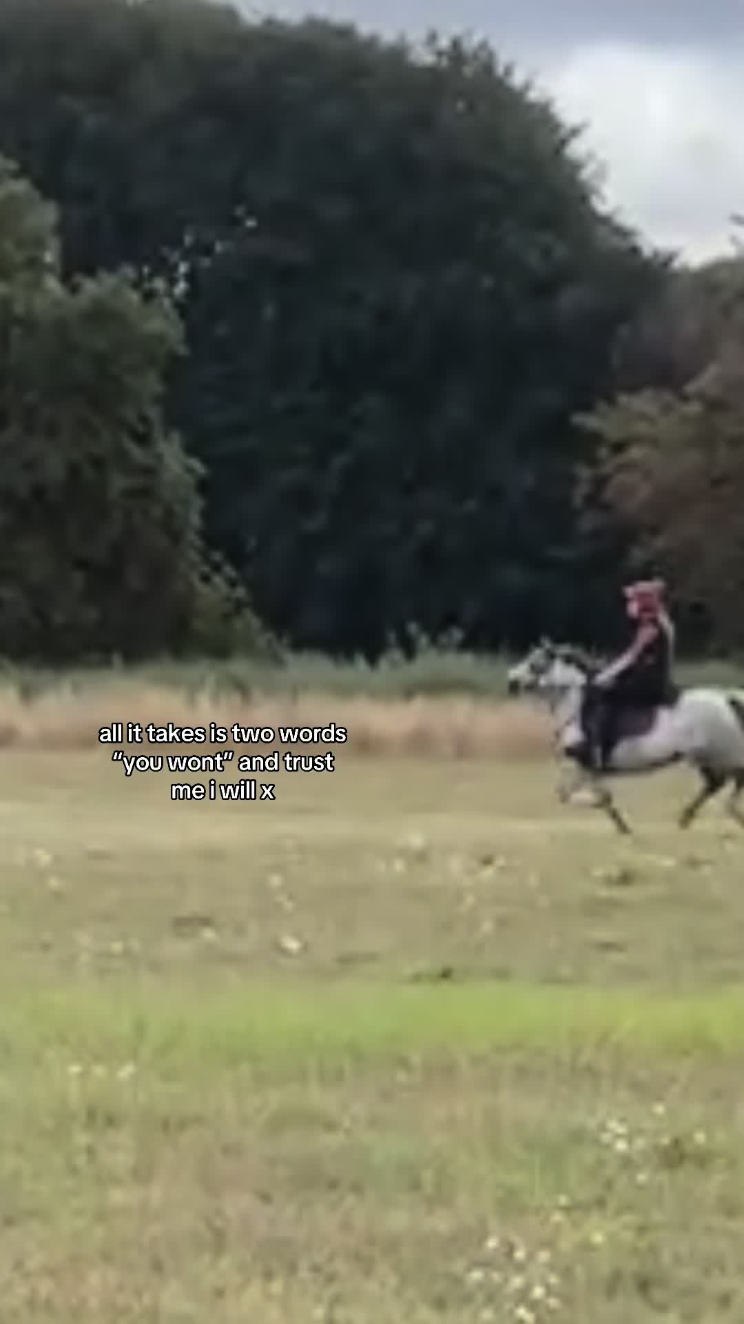 @poppy 🌾🐴 🇬🇧