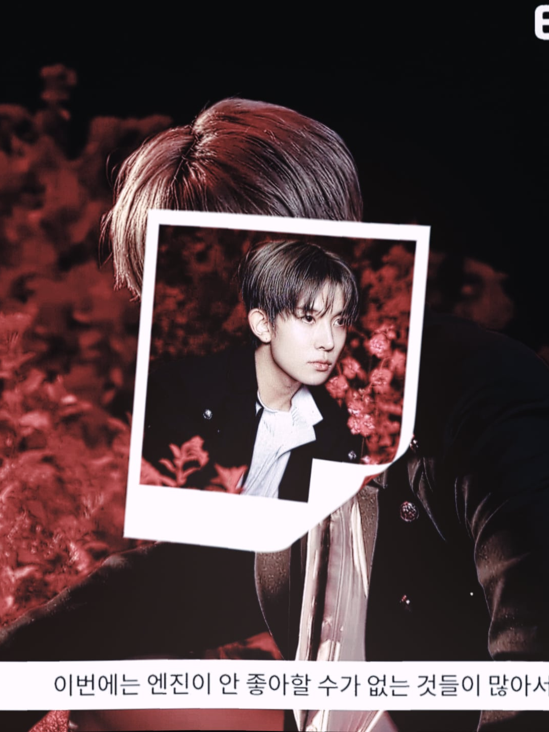 @LEO †