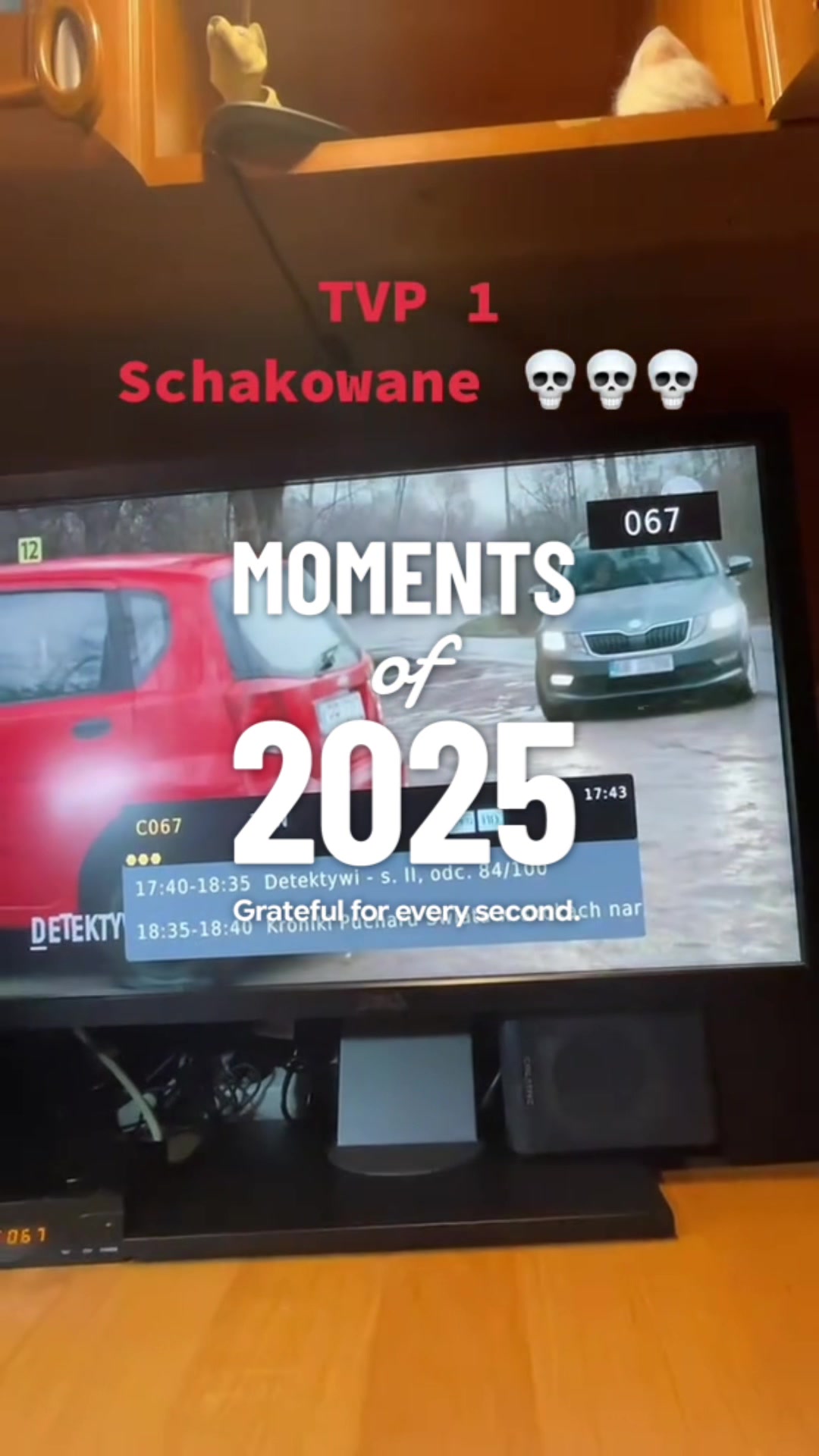 @81_kubuss