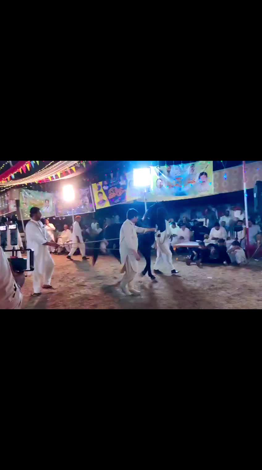 @horse dance #world