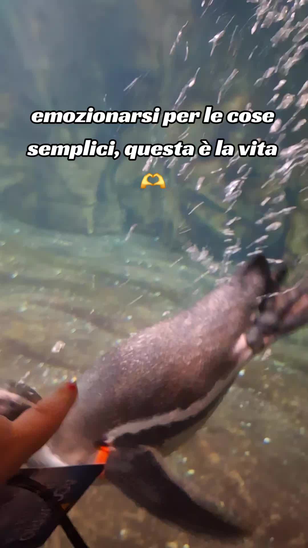 @Emilia Grieco