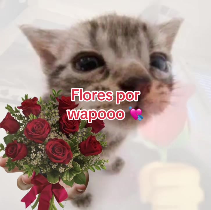 @yramyoliver