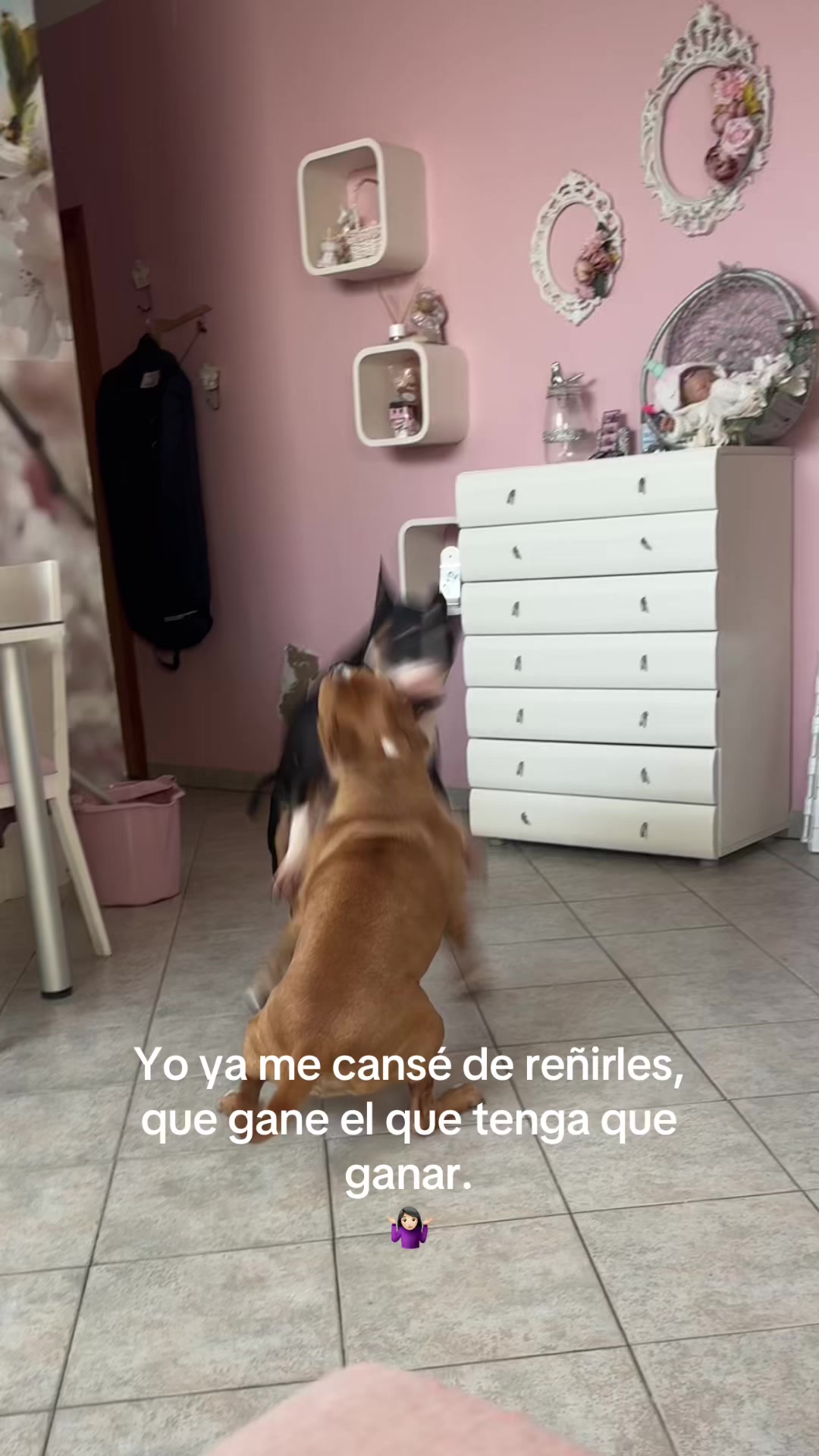 @DivaMuñozzZ