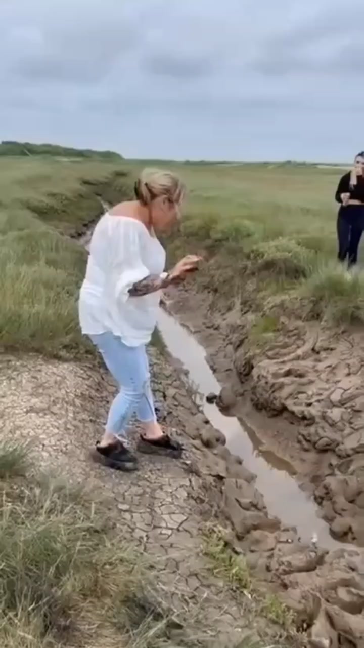 @vikilvab