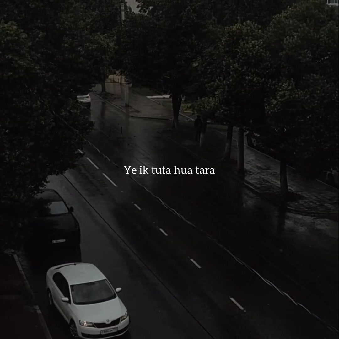 @ʟᴏꜰɪ ᴅʀᴇᴀᴍꜱ