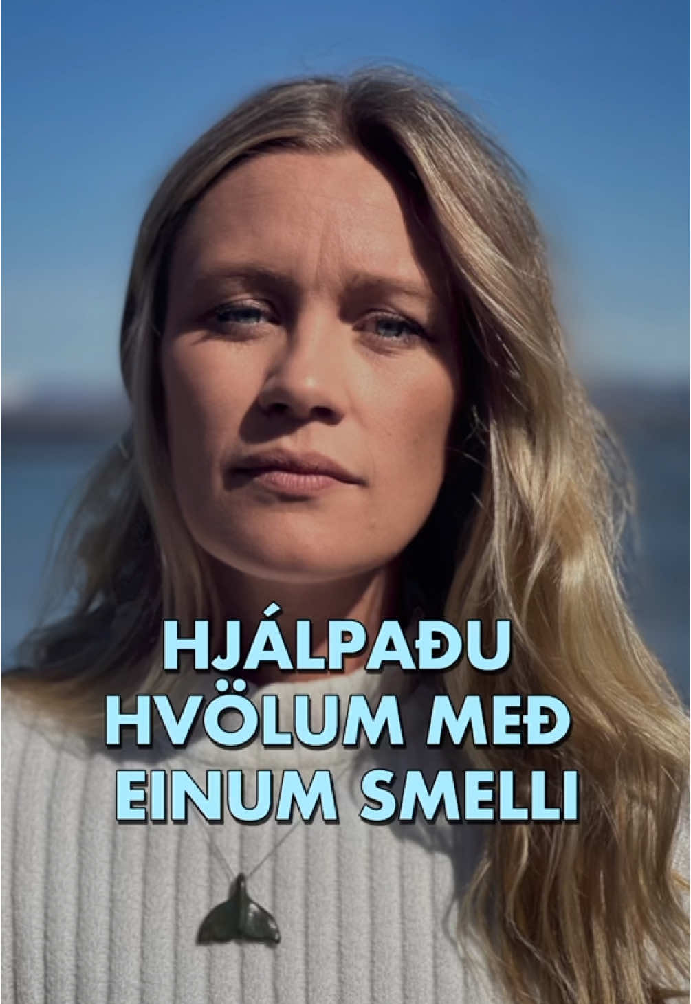 @Hvalavinir