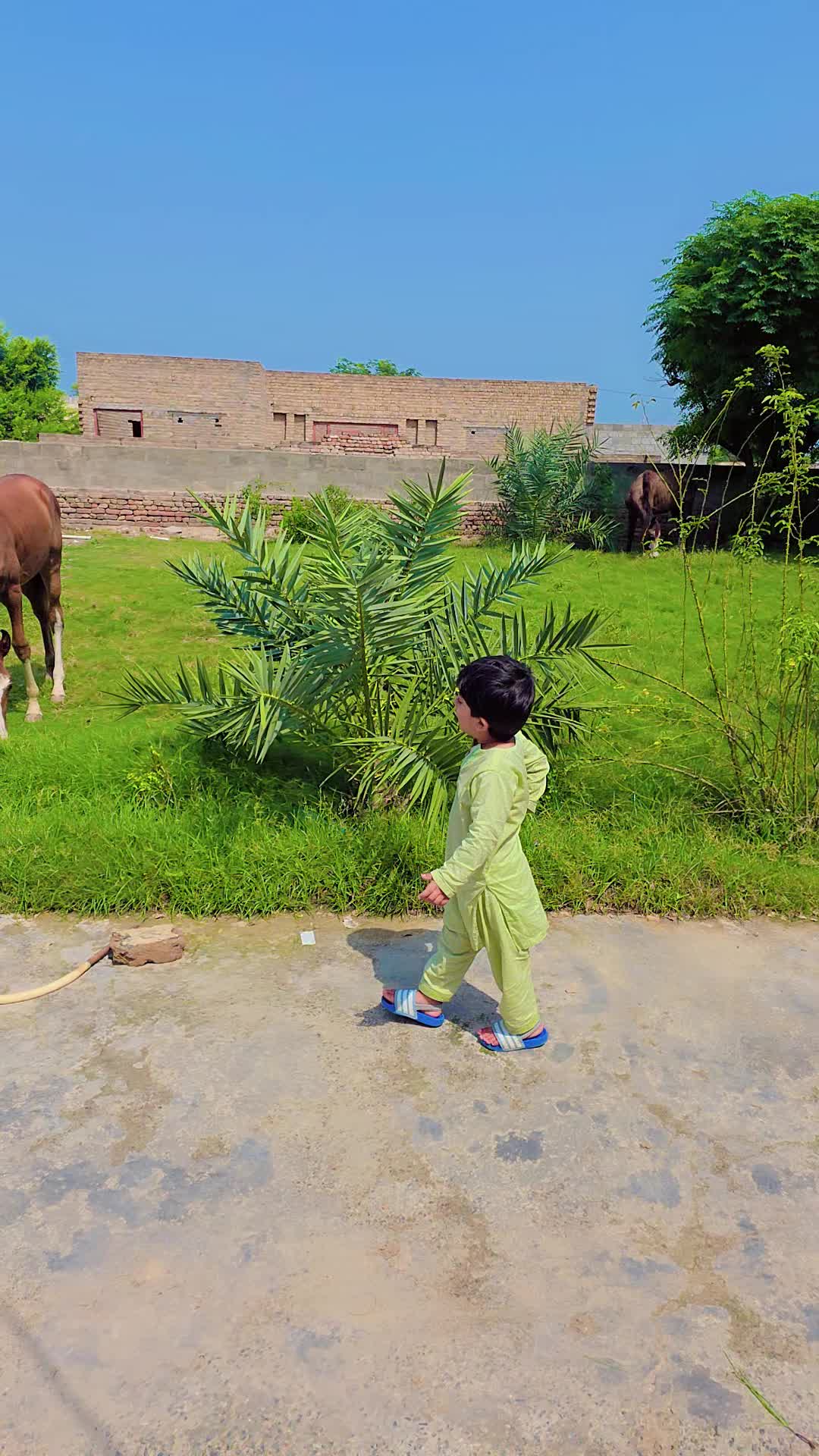 @M Shehryar Sultan Lati