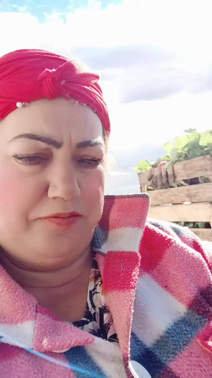 @👑Елена👑🐺♥️💯🐺👑
