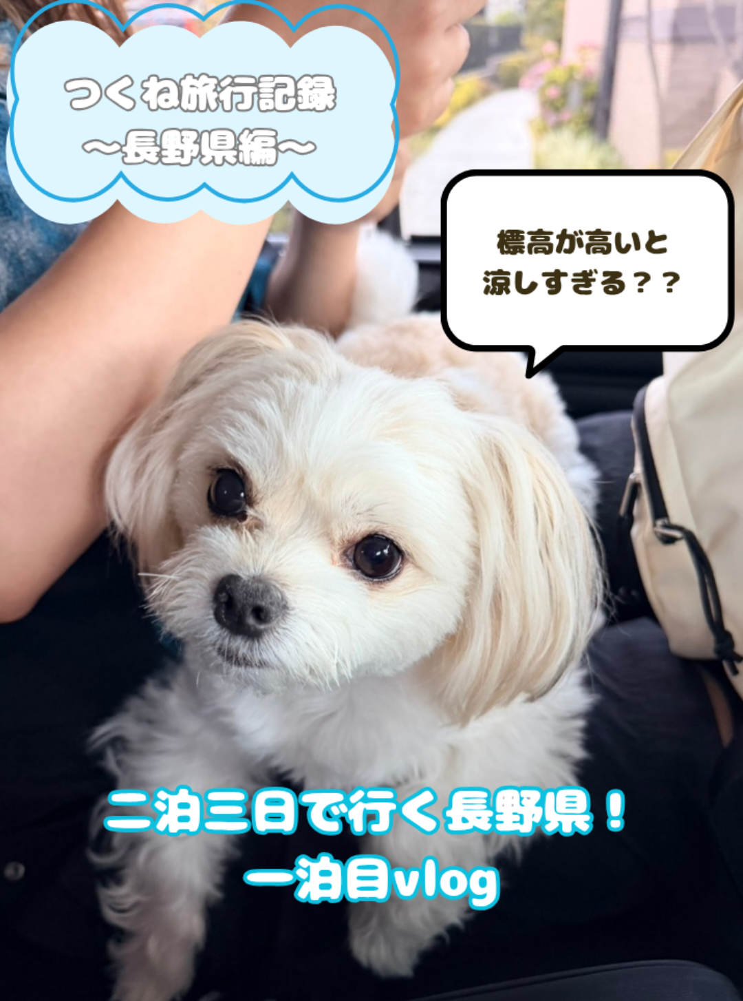 @つくねくん