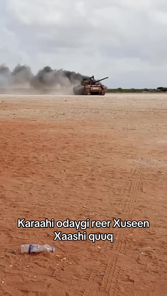 @Ibrahim 🦁