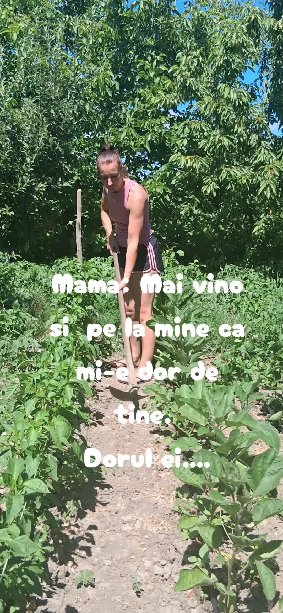 @Ancapanait