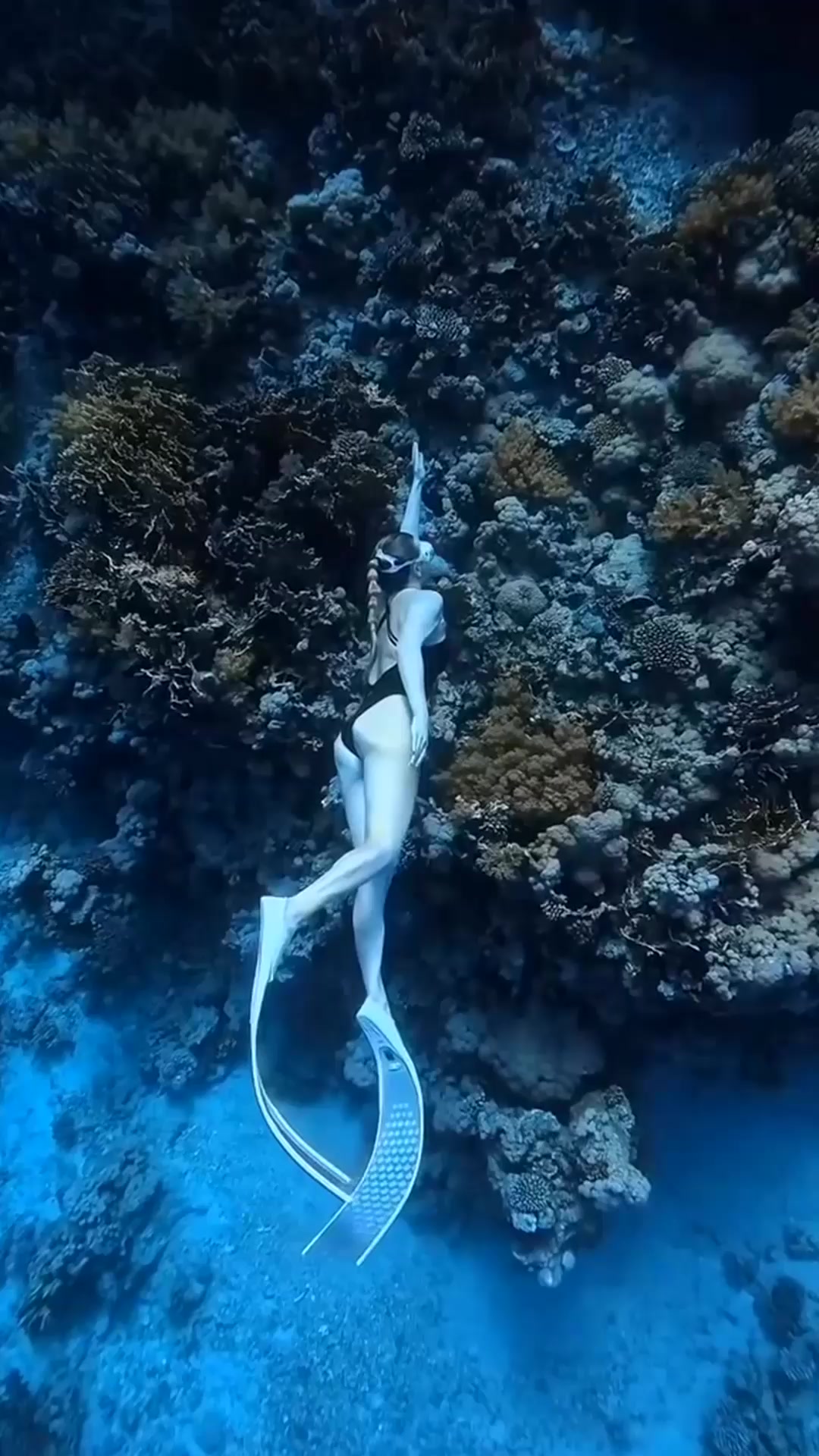 @vhngngn844