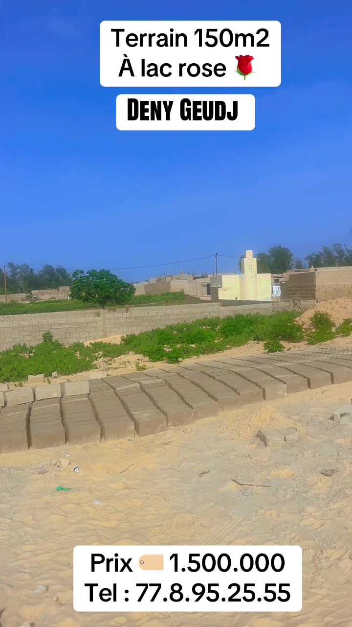 @S&eacute;n&eacute;gal dakar habitat 🇸🇳