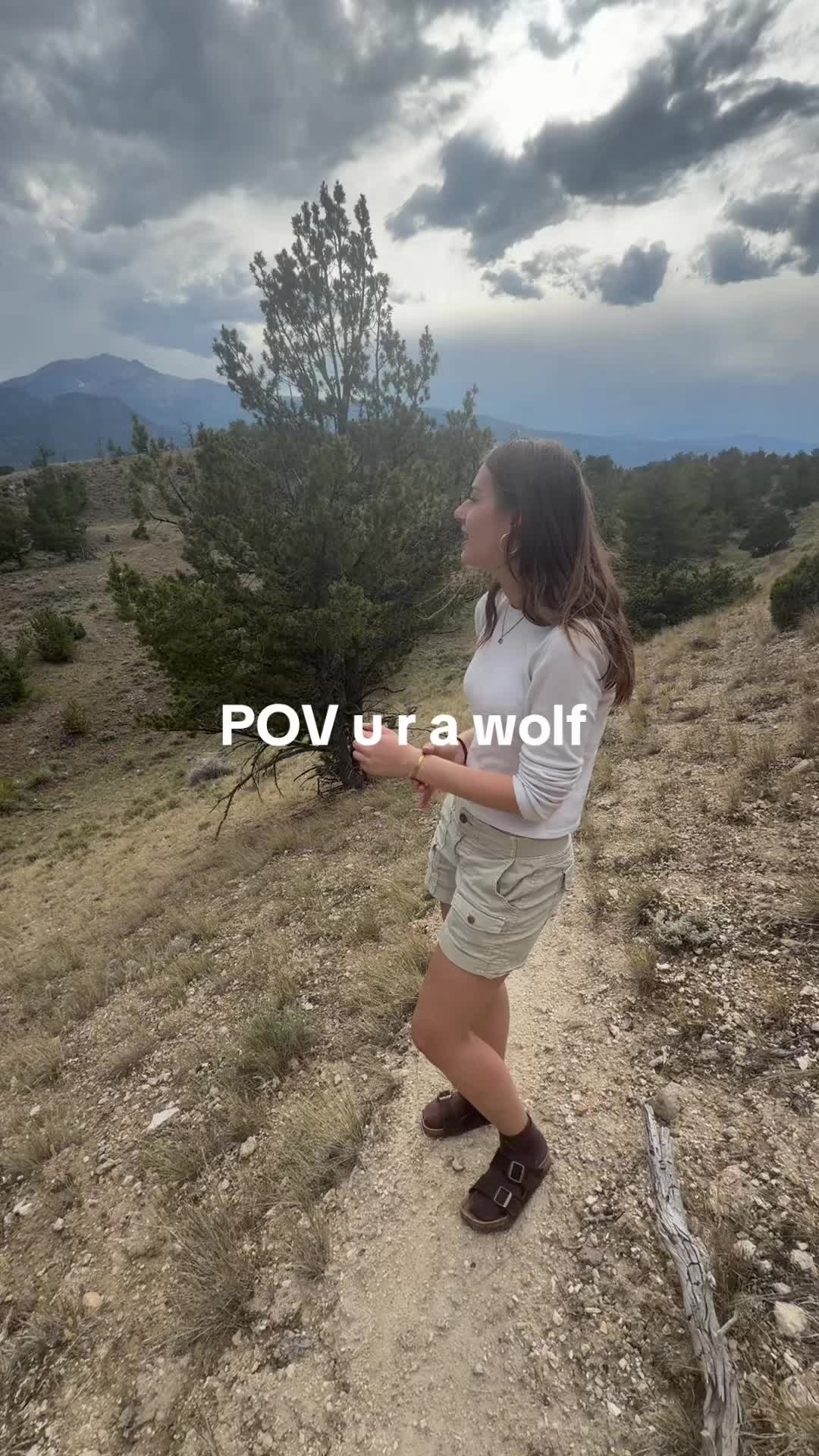 @lily