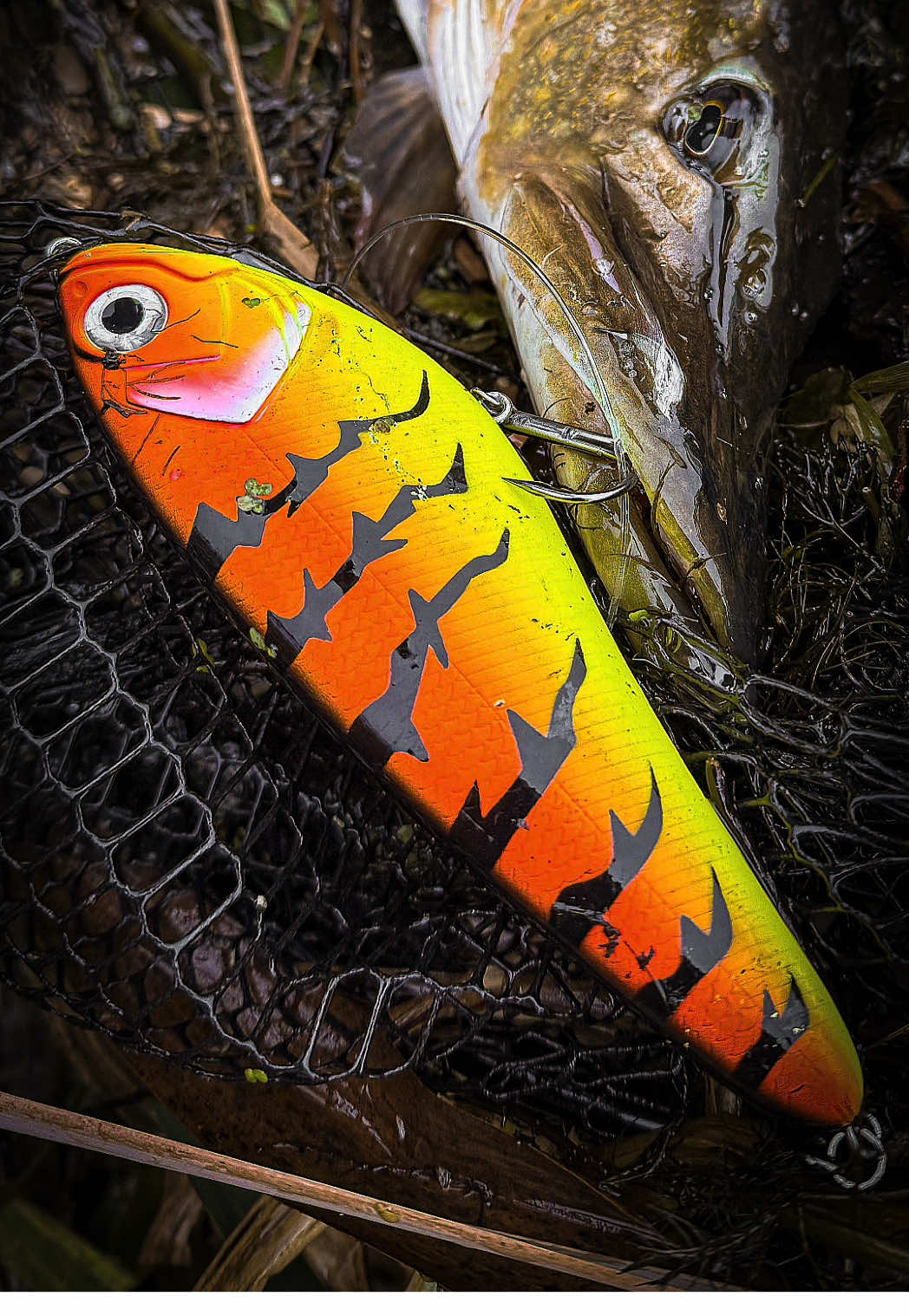 @robertmajewski.fishing