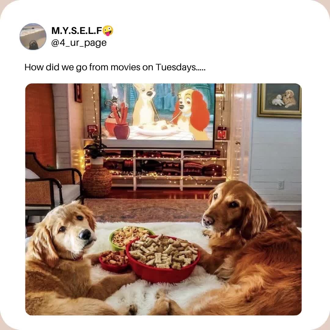 @M.Y.S.E.L.F🤪