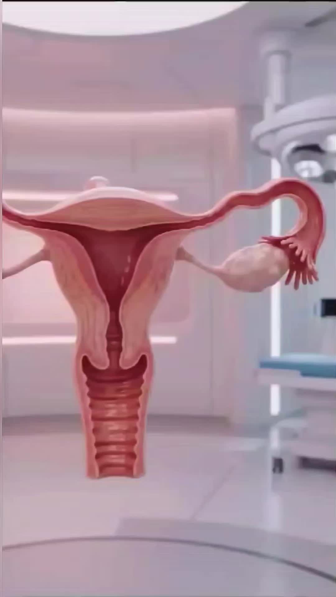 @femniverse 3
