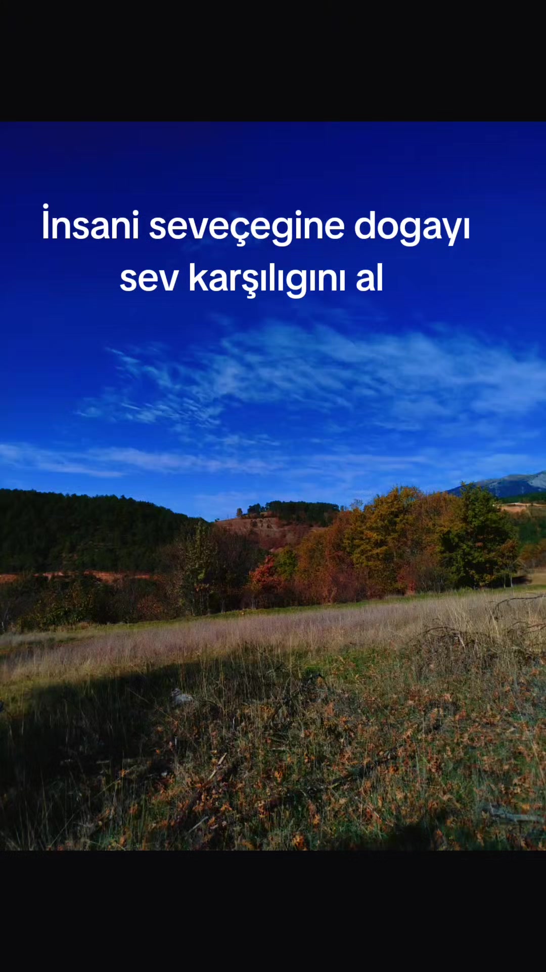 @bozkurt