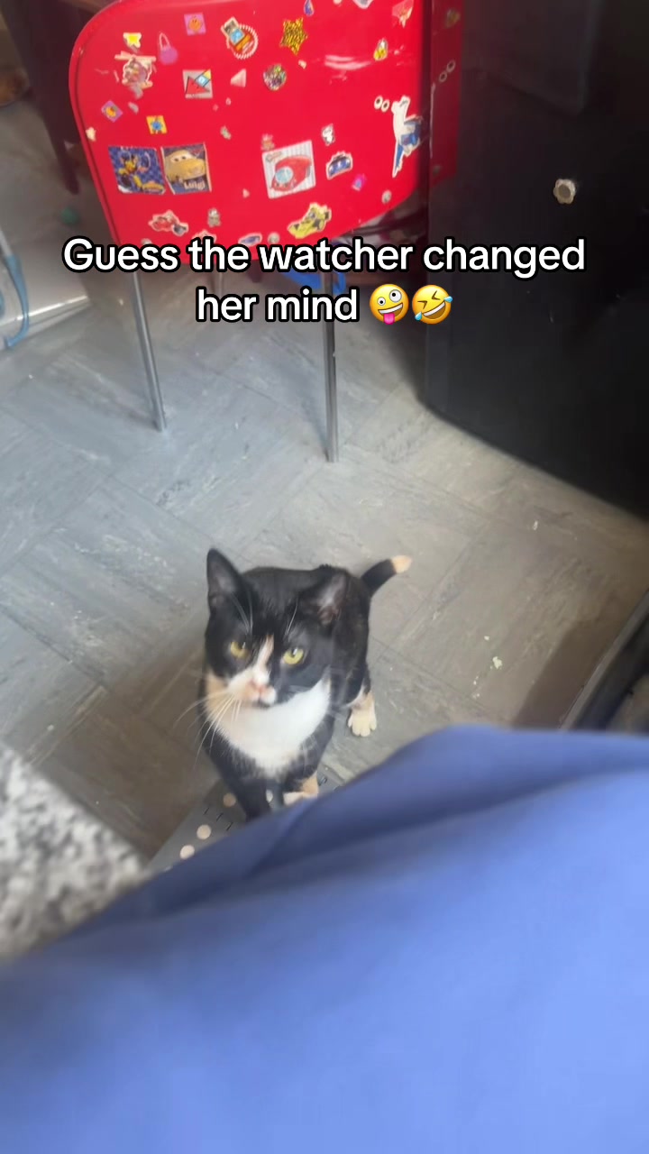@Paigeyy