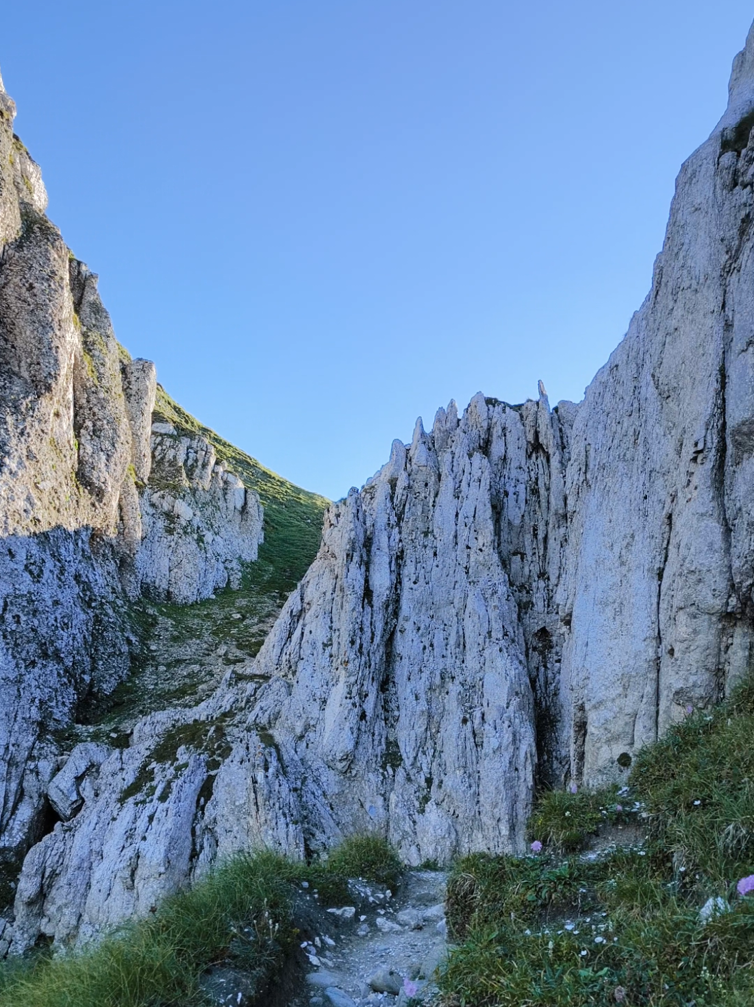 @Călător prin viață 🌅🏞️🌌