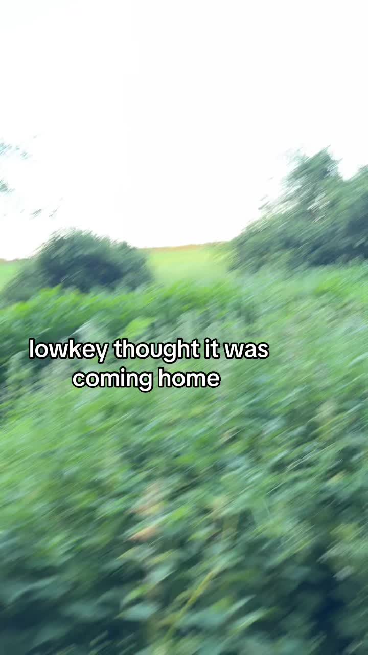 @2026-L1nkzyy!🇬🇧