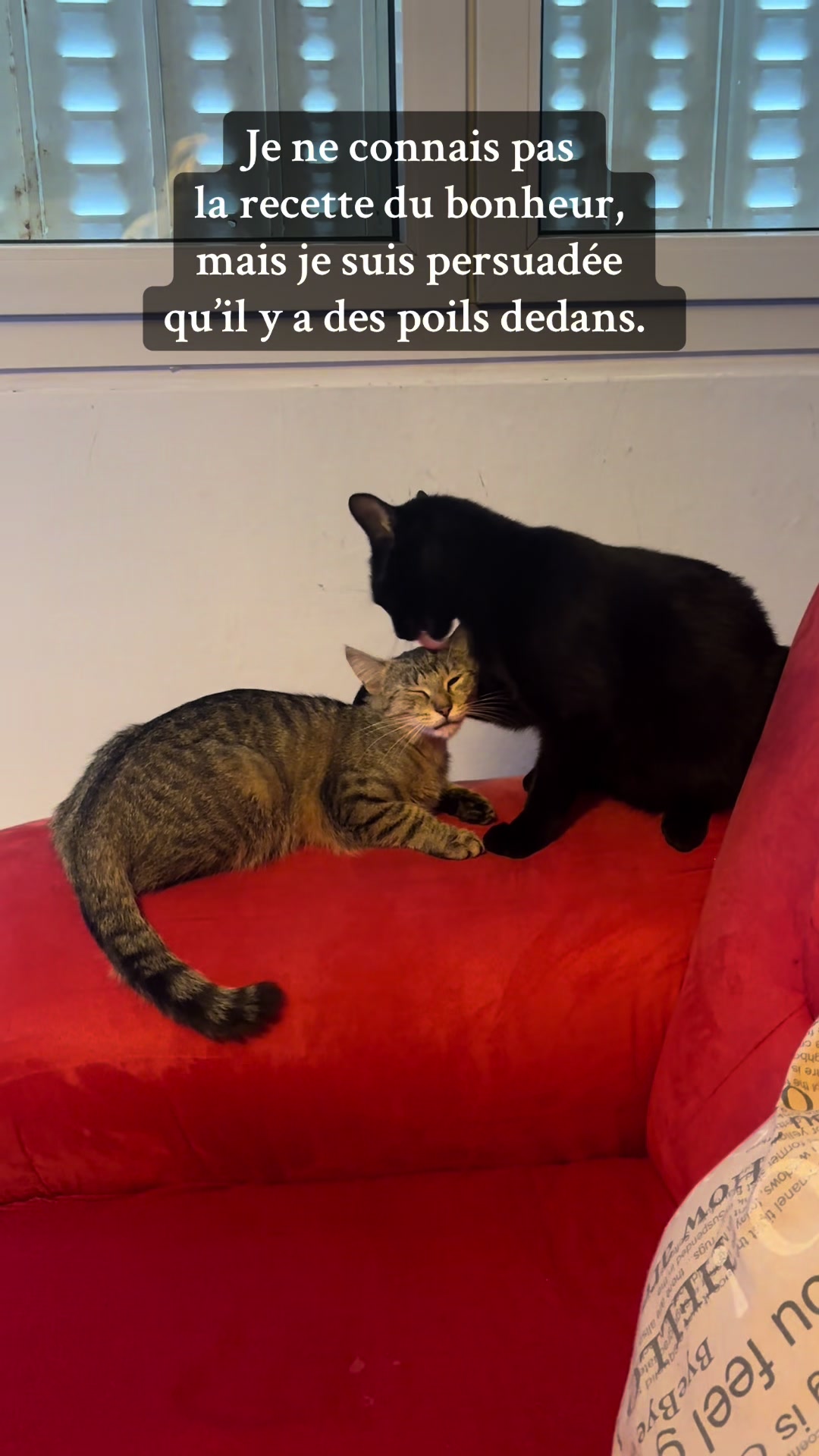 @𝐀𝐥𝐲𝐬𝐬